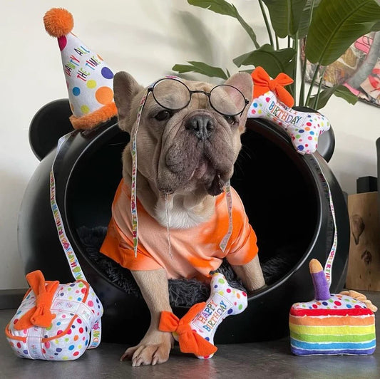 White polka dot 'PAWTY ALL THE TIME' dog party hat with orange pom-pom trim