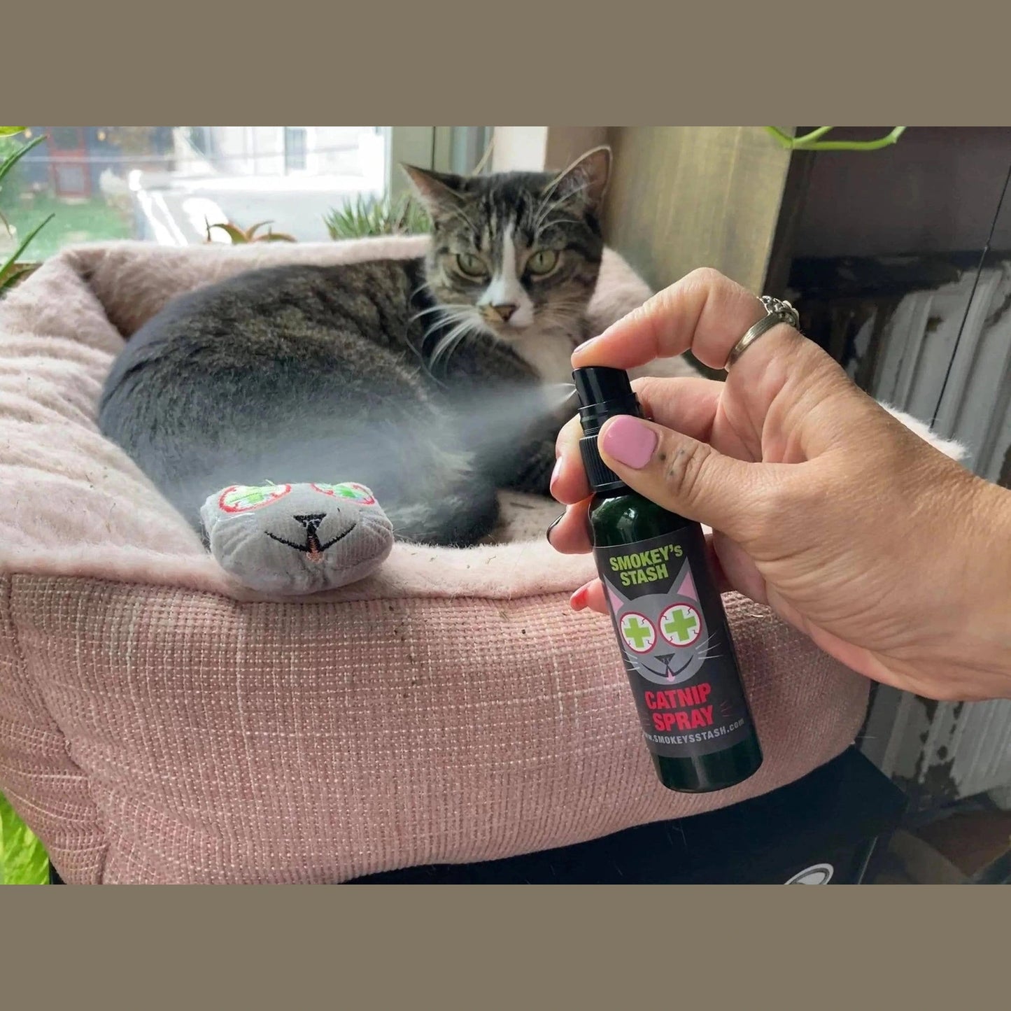 Catnip spray bottle misting plush toy for tabby cat play