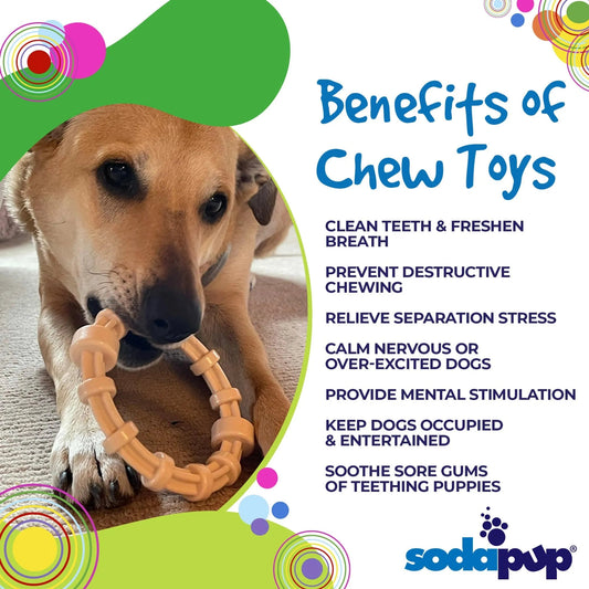 SodaPup Chicken Flavored Honey Bone Nylon Teething Ring for Puppies
