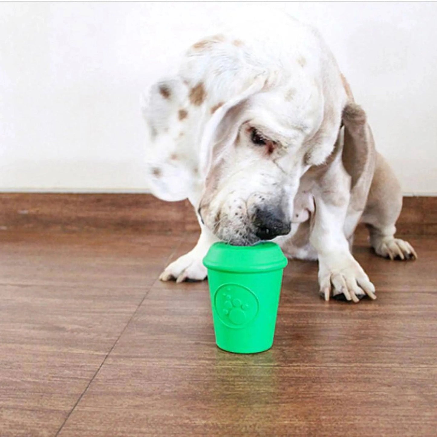 Dog interacting with upright green coffee cup treat dispenser