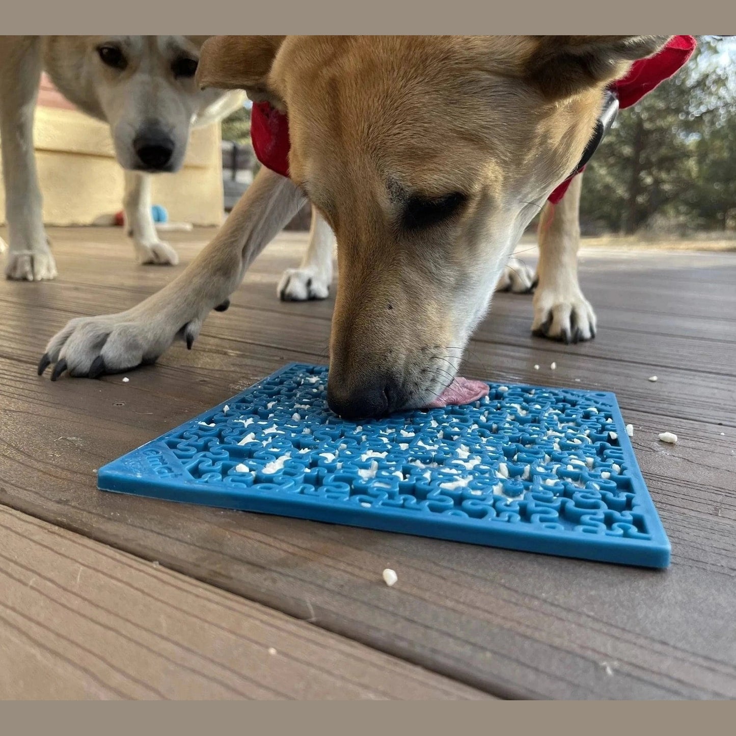 Tan dog using blue jigsaw lick mat on wooden deck