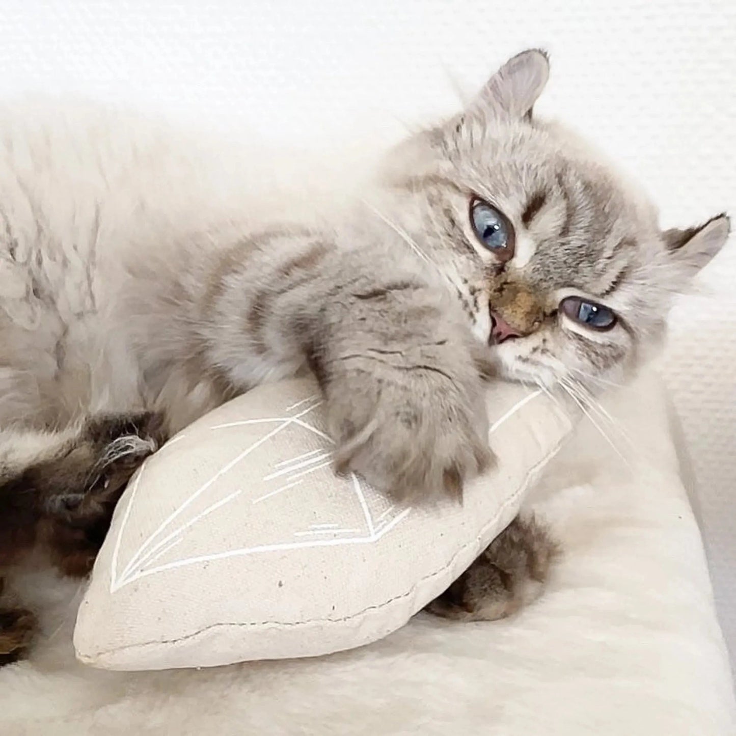 Merci Collective Chouchou Catnip Kicker gray tabby cat playing with beige crystal toy