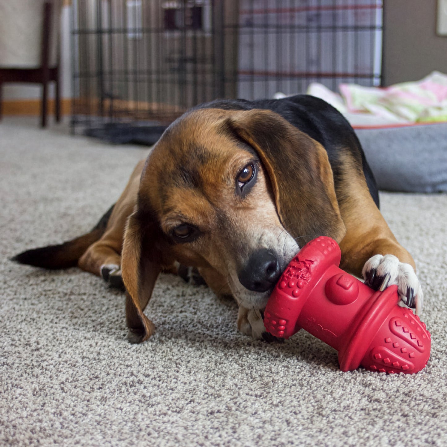 Spunky Pup The Hydrant Treat Dispenser