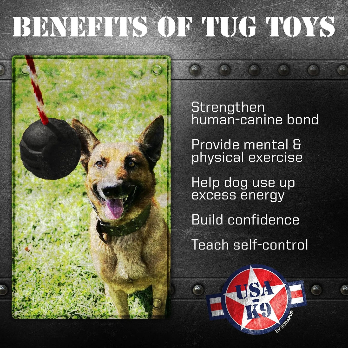 Tan black dog holding black rubber tug toy with rope outdoors for training