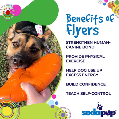 Black and tan dog holding orange soft rubber frisbee for fetch play outdoors
