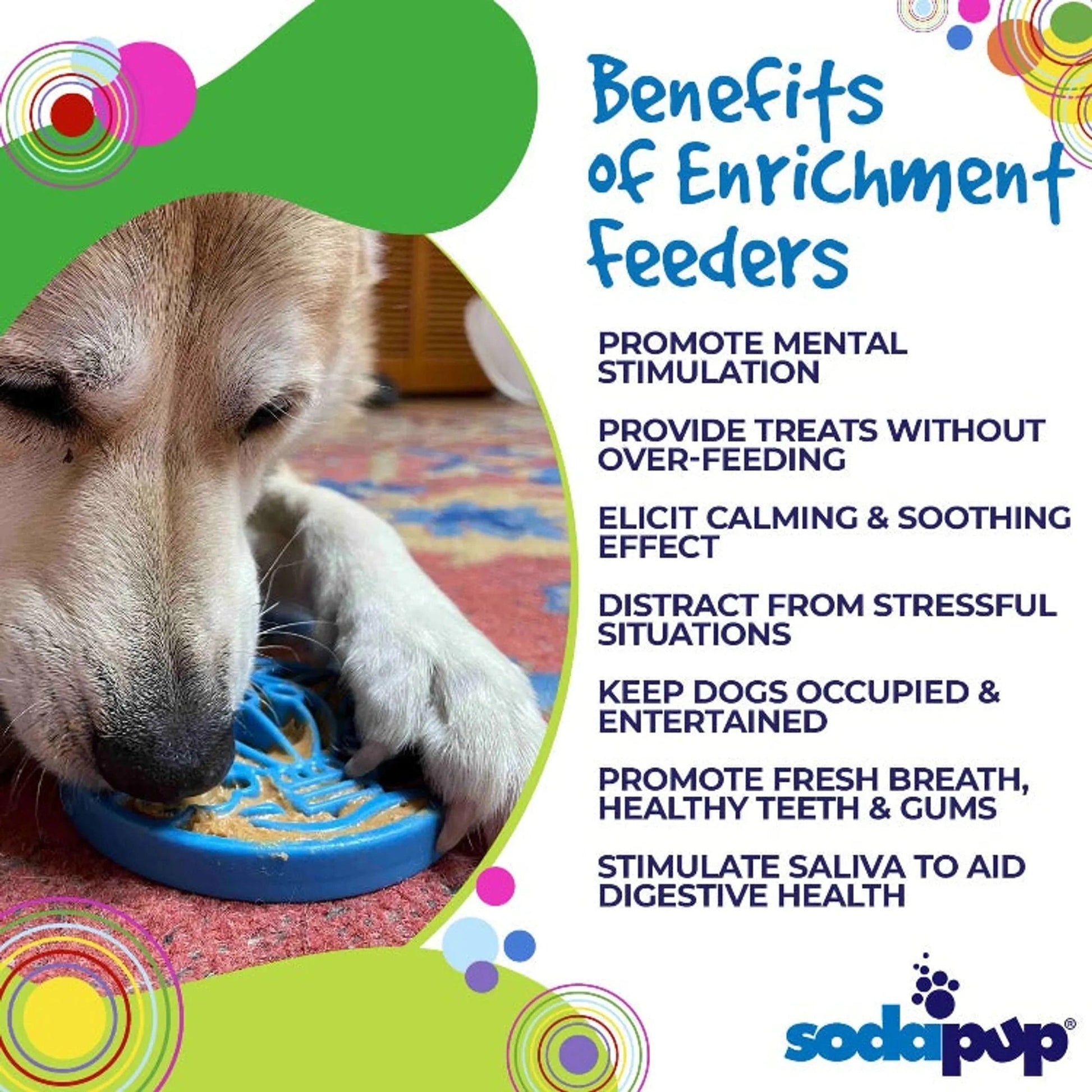 Dog using blue enrichment feeder on carpet benefits infographic