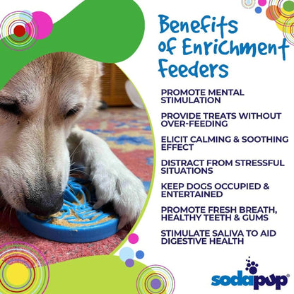 Dog using blue enrichment feeder on carpet benefits infographic