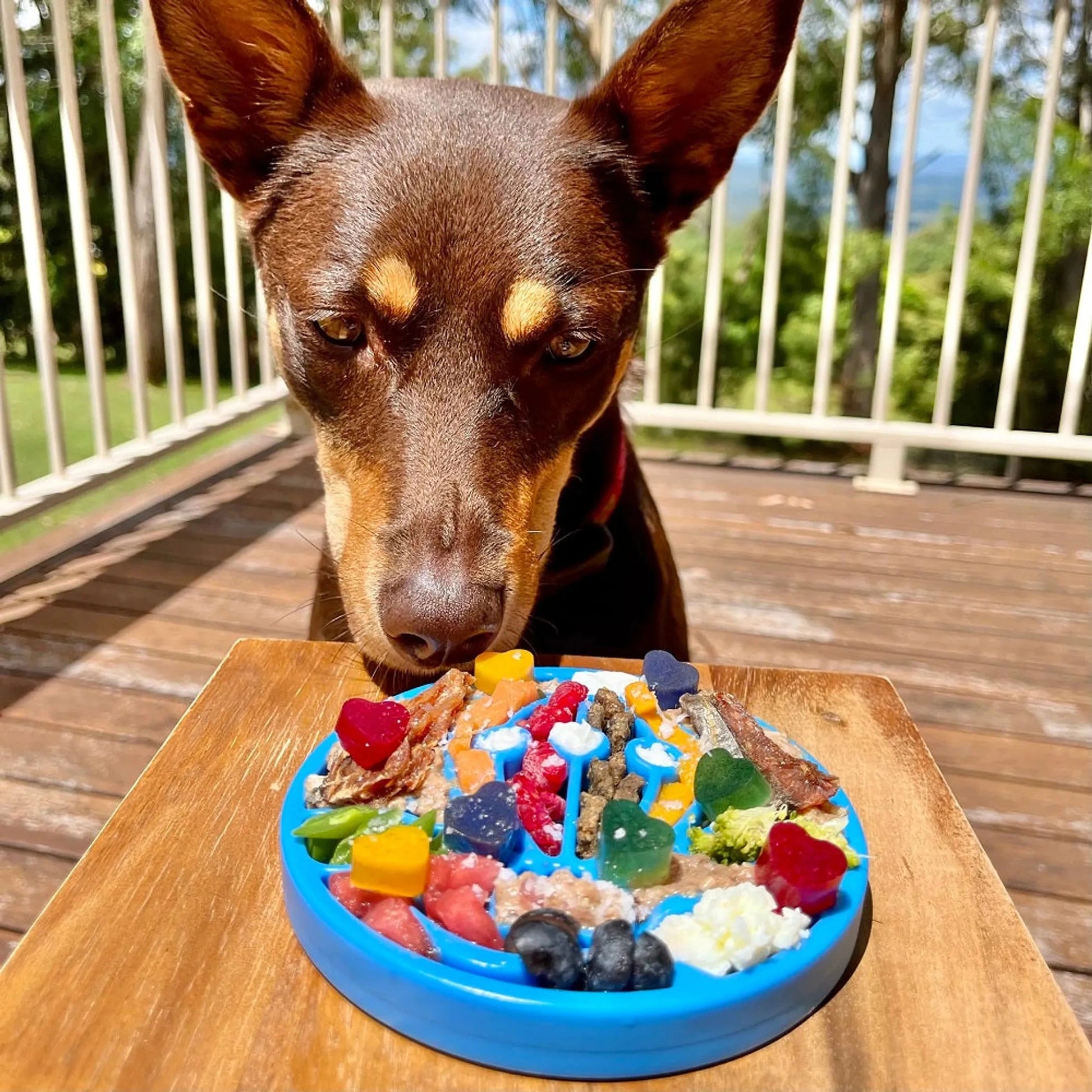 Blue SodaPup Air nylon lick mat with treats for heavy chewers