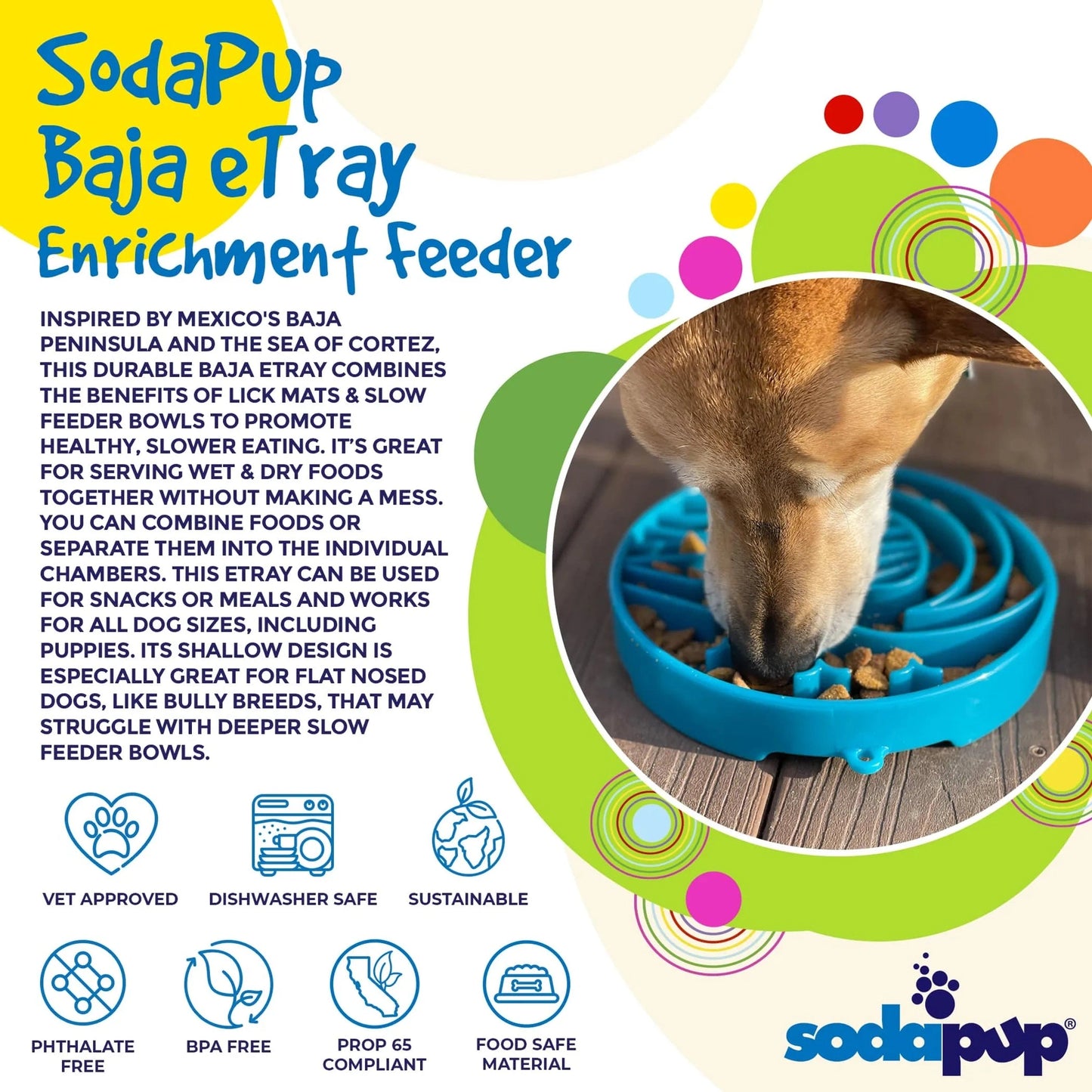 Tan dog eating kibble from blue Baja design enrichment feeder
