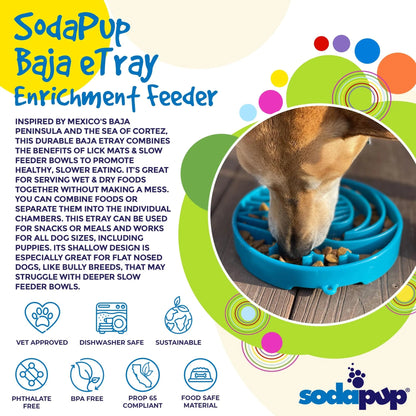 Tan dog eating kibble from blue Baja design enrichment feeder