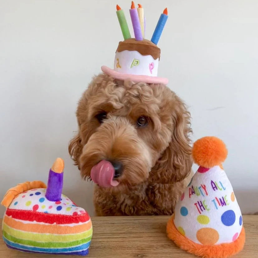 Haute Diggity Dog Happy Birthday Pawty Hat Toy with cake design and colorful candles for dogs