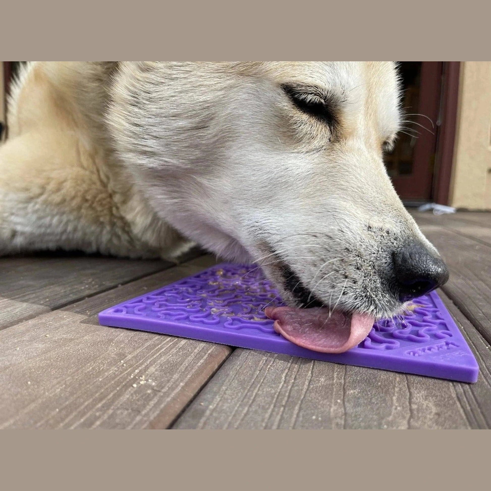 Dog licking purple SodaPup bone pattern enrichment mat on wooden deck