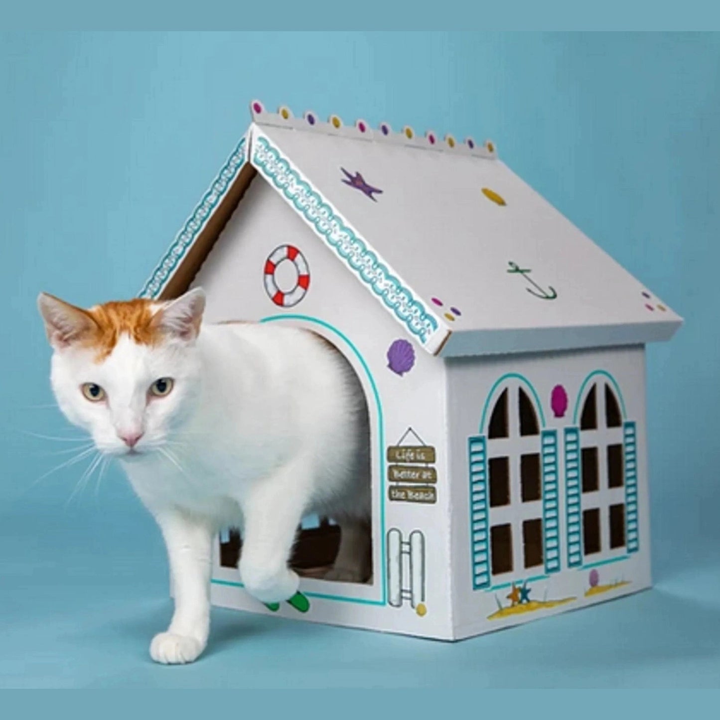 Breezy Beach Cottage cardboard cat playhouse with nautical trim and life preserver detail