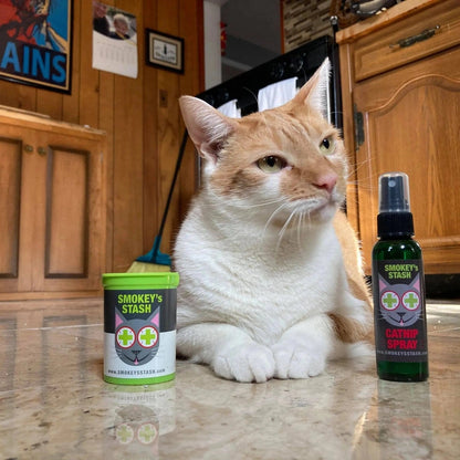 Orange and white cat near Smokey's Stash catnip container and spray