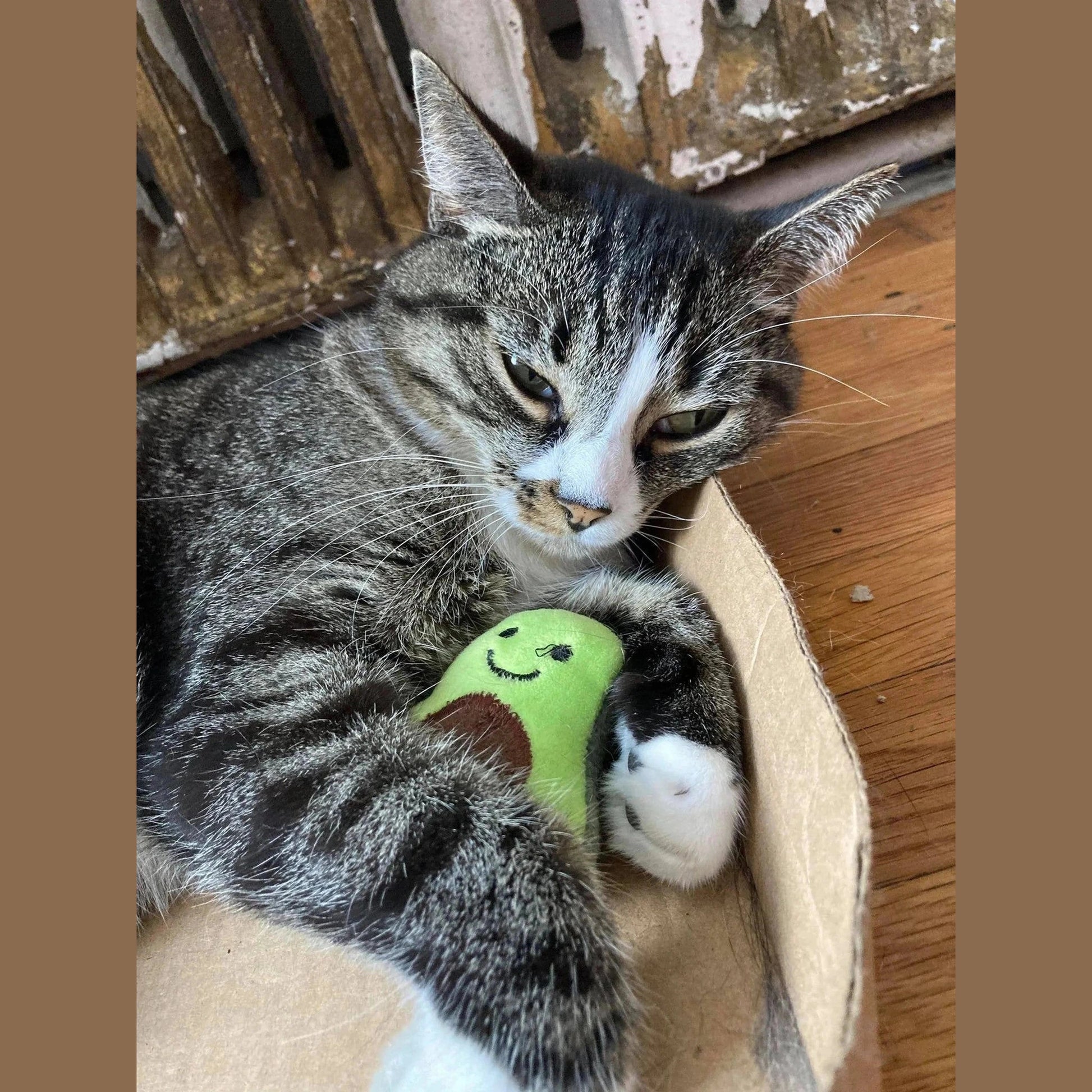 Catnip Set Catnip Toy
