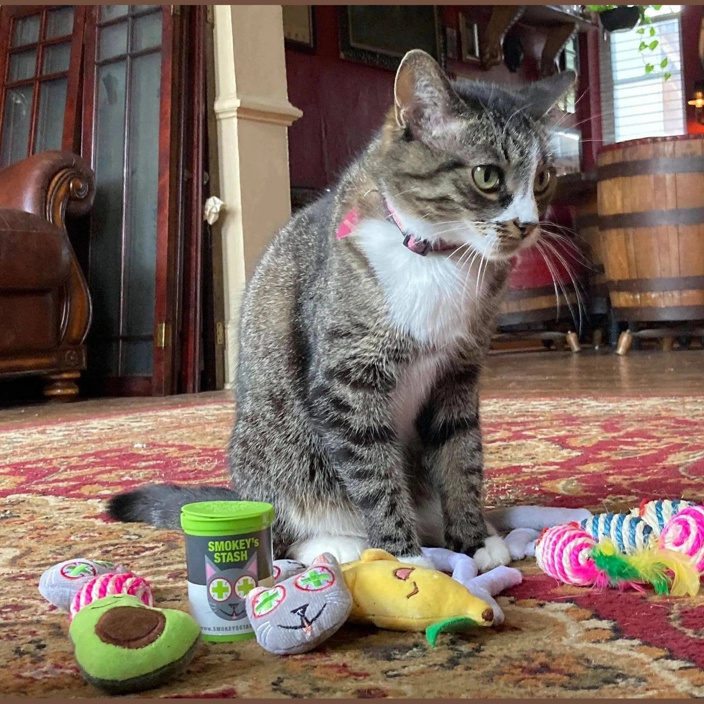 Catnip Set Catnip Toy
