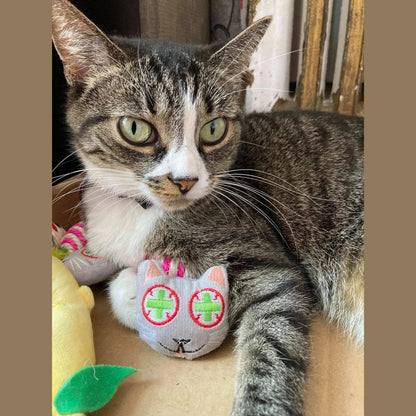 Catnip Set Catnip Toy