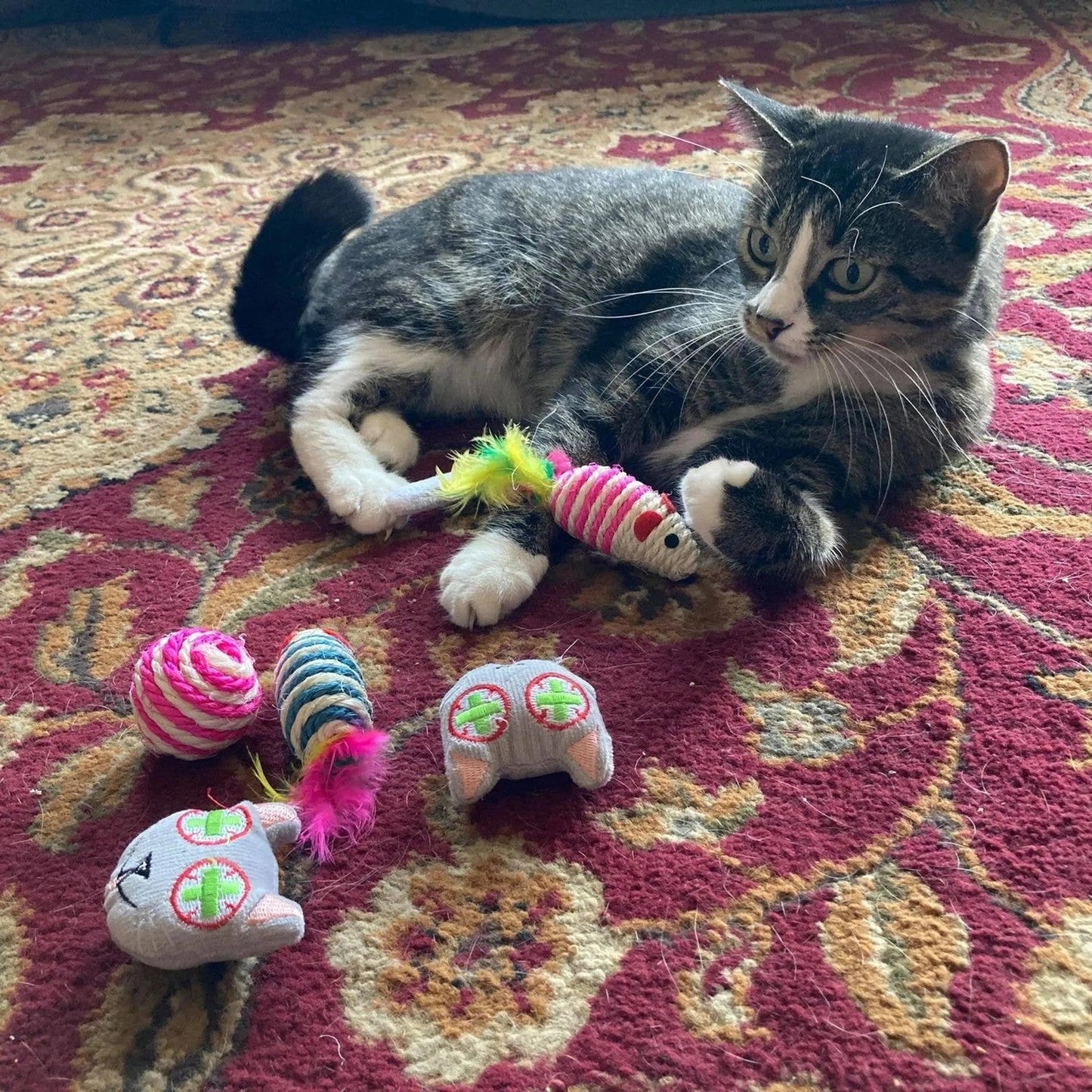Tabby cat interacting with striped sisal rope toys and fabric mice on rug