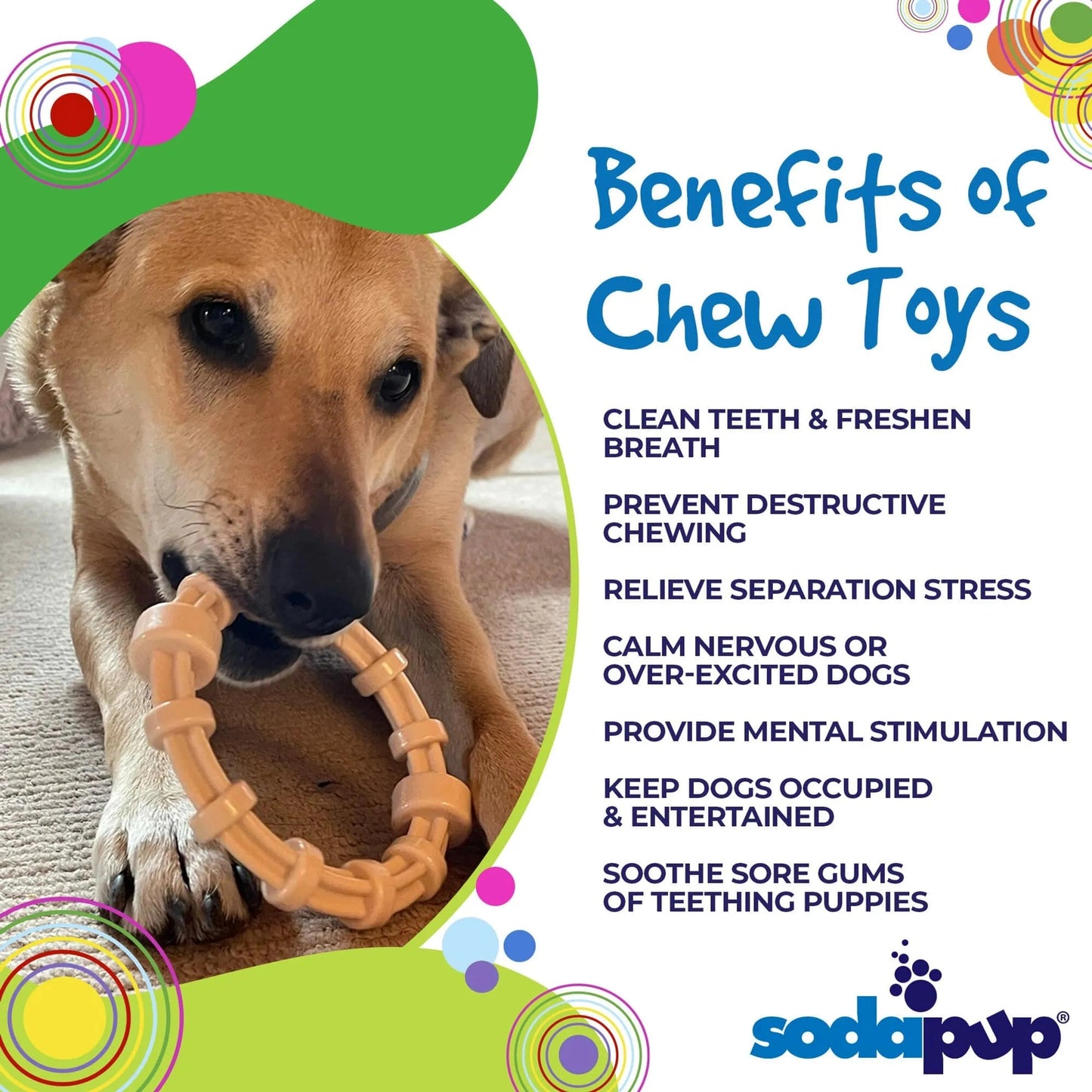 Benefits of SodaPup Nylon Chew Toys for Dental Health and Stress Relief