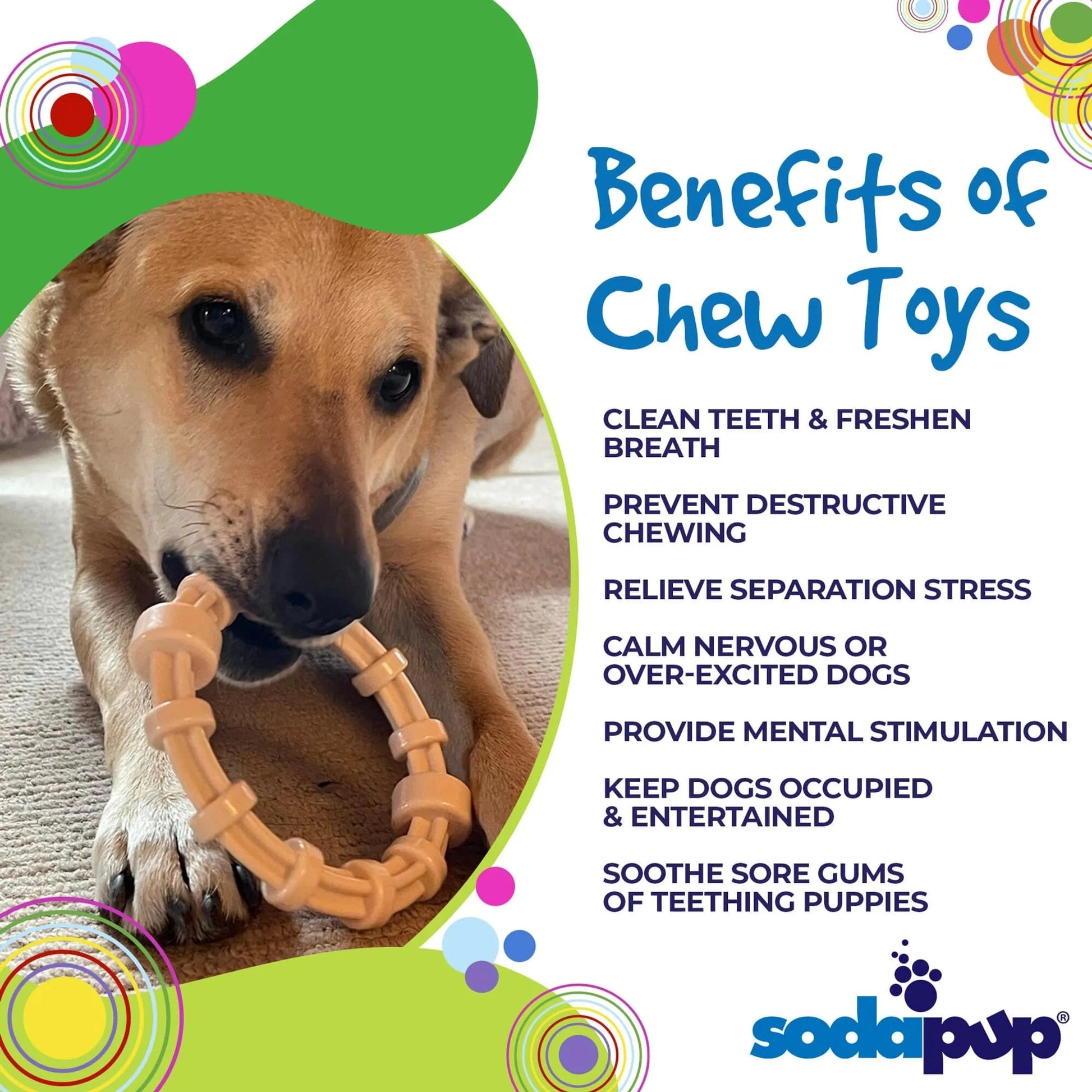 Benefits of SodaPup Nylon Chew Toys for Dental Health and Stress Relief