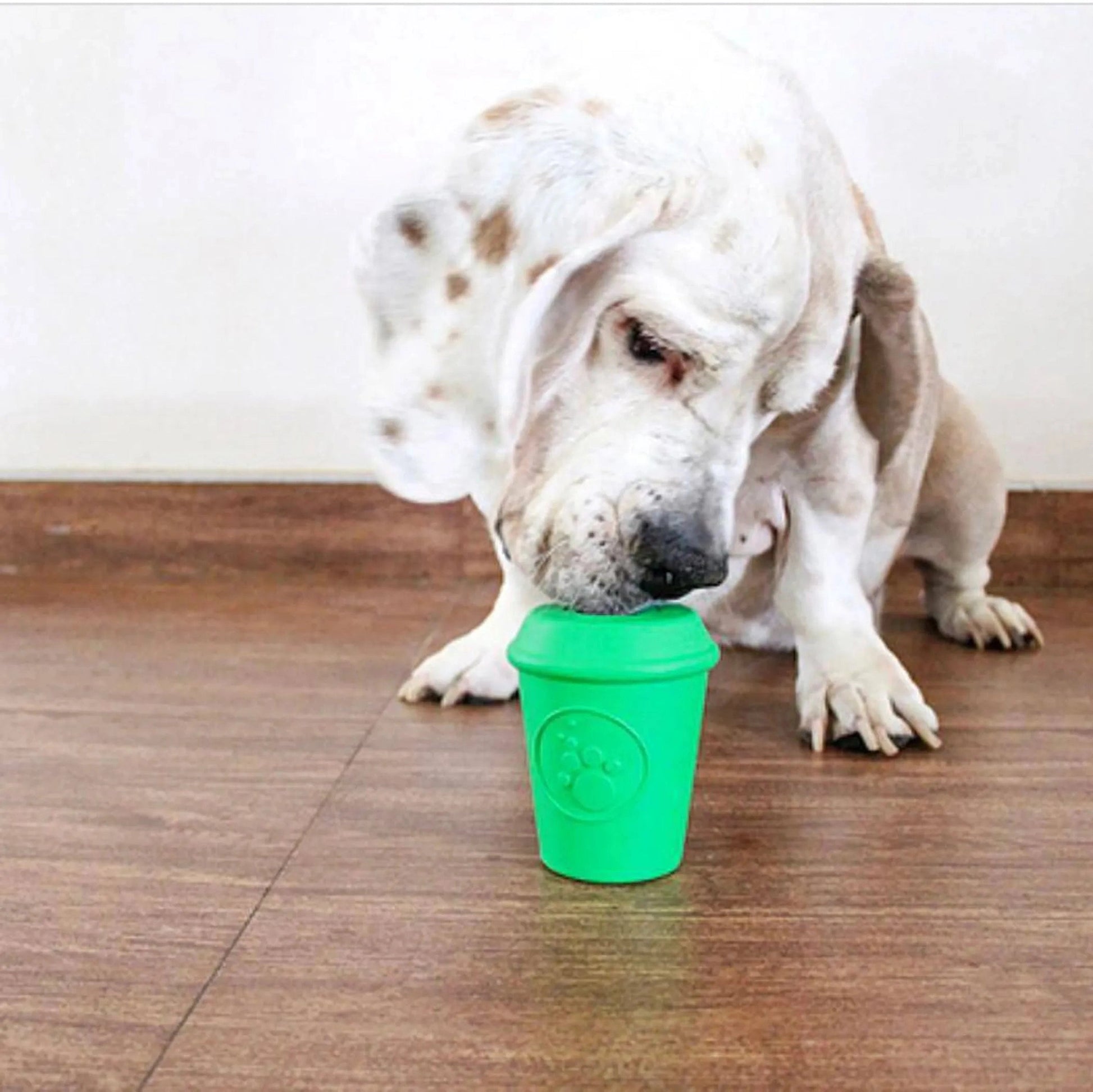 Dog interacting with upright green coffee cup treat dispenser