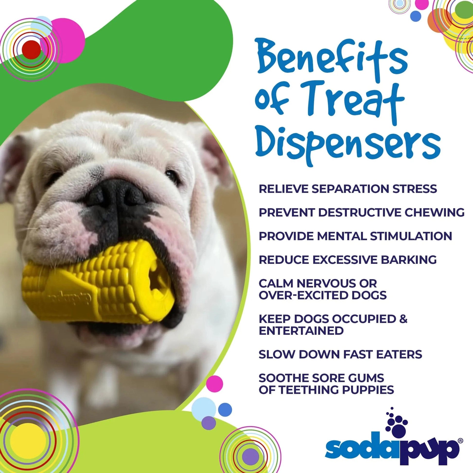 Bulldog chewing yellow corn cob treat dispenser toy for mental stimulation and stress relief