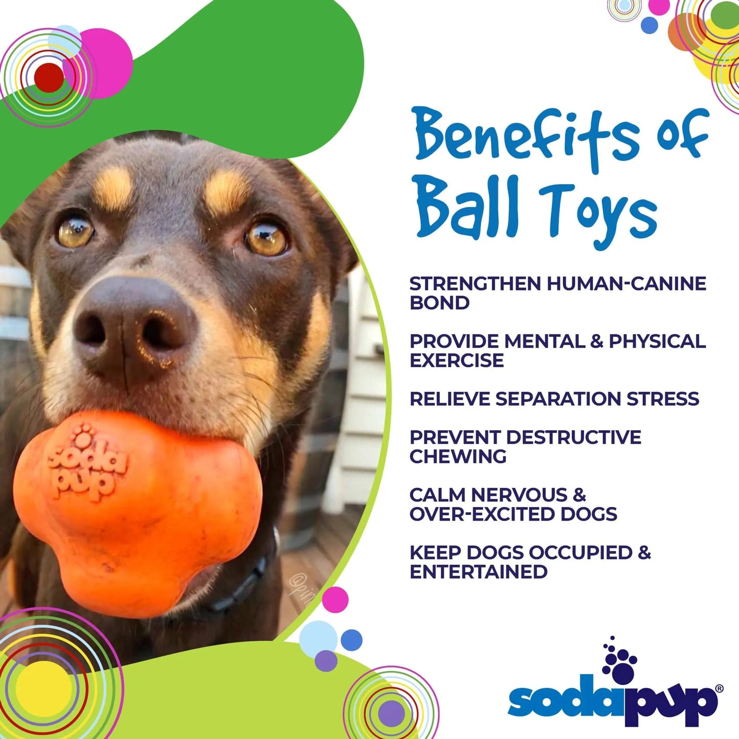 Orange SodaPup Crazy Bounce rubber chew ball in dog's mouth with embossed logo