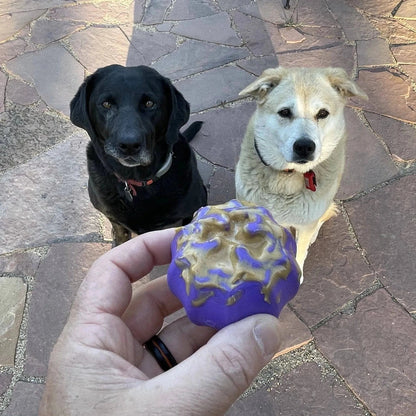 Hand holding peanut butter filled purple dog treat dispenser