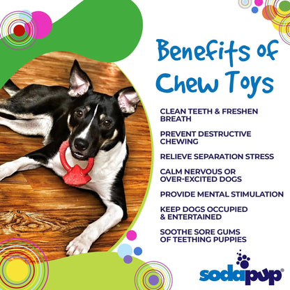 Dog chewing red diamond ring toy to relieve teething stress