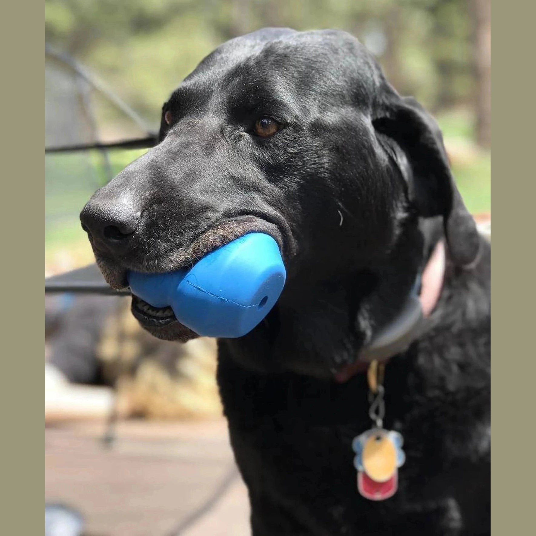 Blue SodaPup Double Trouble rubber chew toy for large dogs