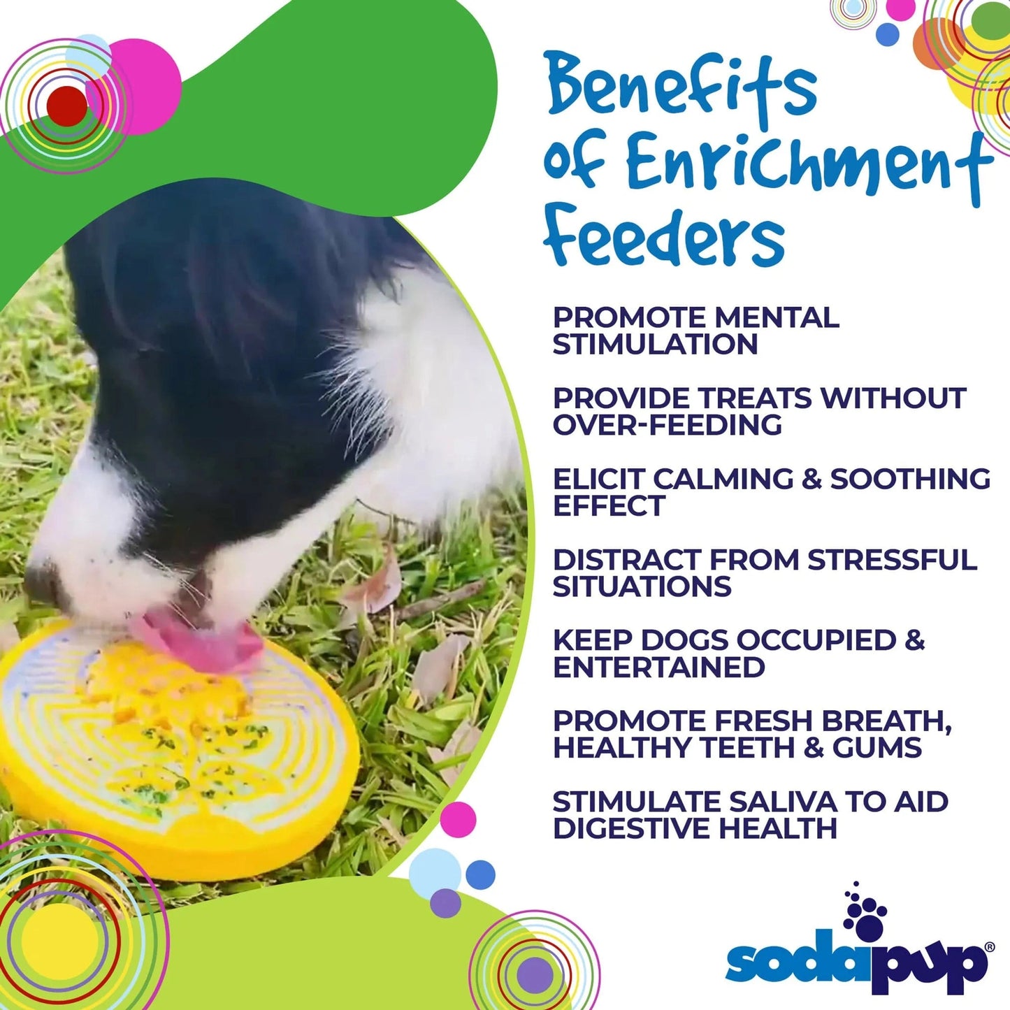 Black and white dog using yellow sunflower nylon lick mat outdoors for mental stimulation