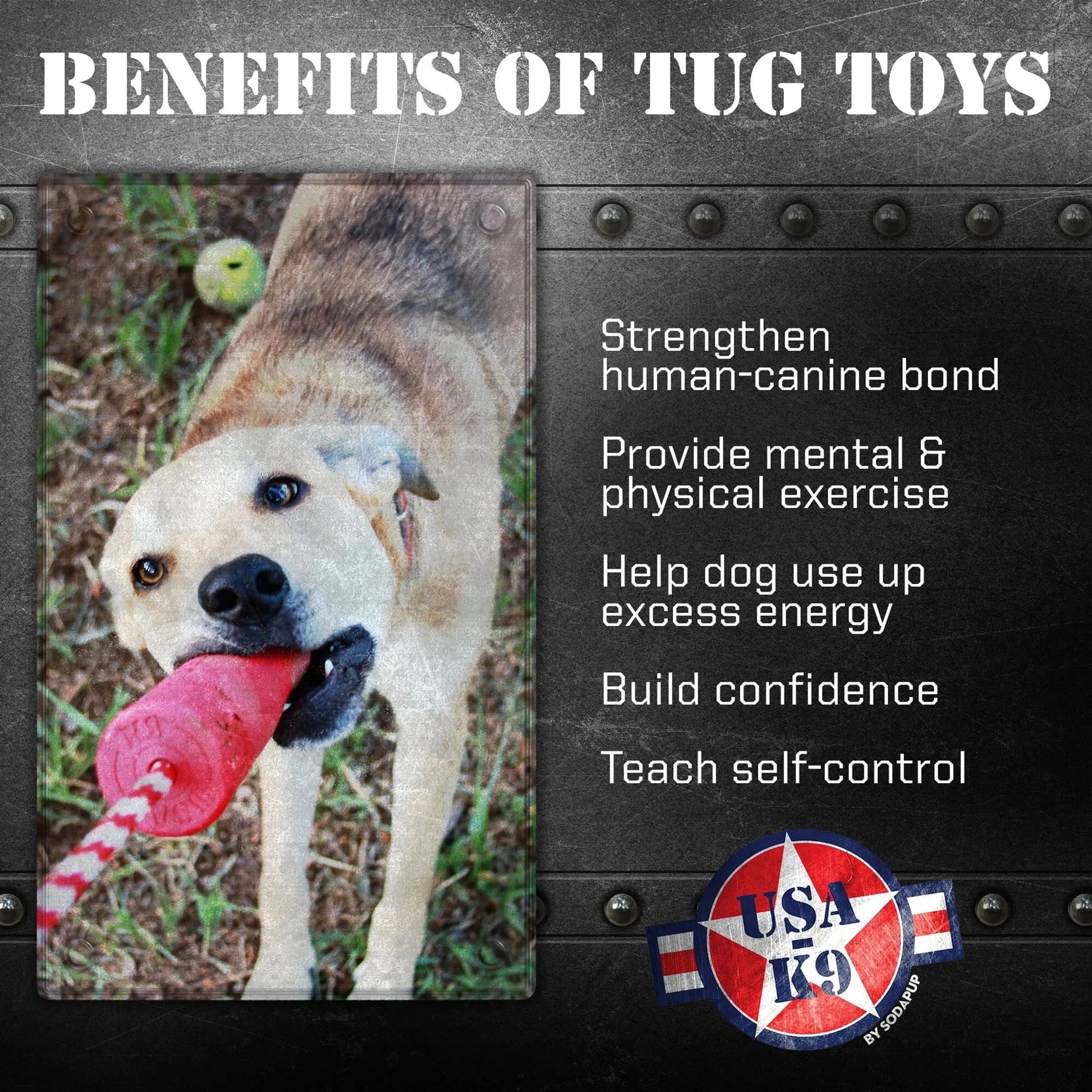 Firecracker Training Dummy Pet Toy