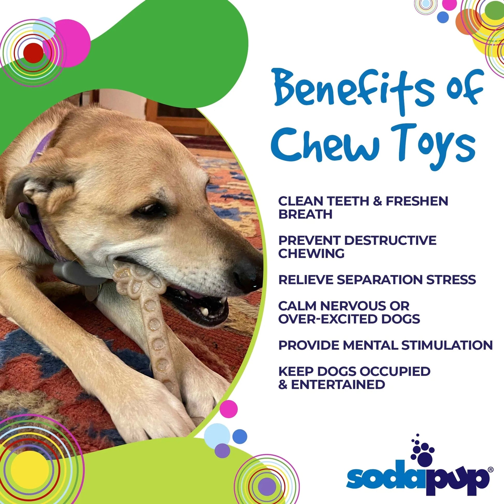 Small brown dog chewing on beige SodaPup flower tower enrichment toy on rug