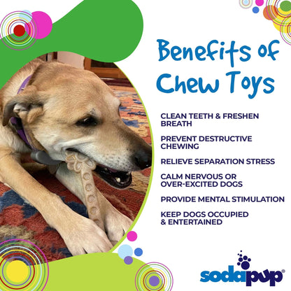 Small brown dog chewing on beige SodaPup flower tower enrichment toy on rug
