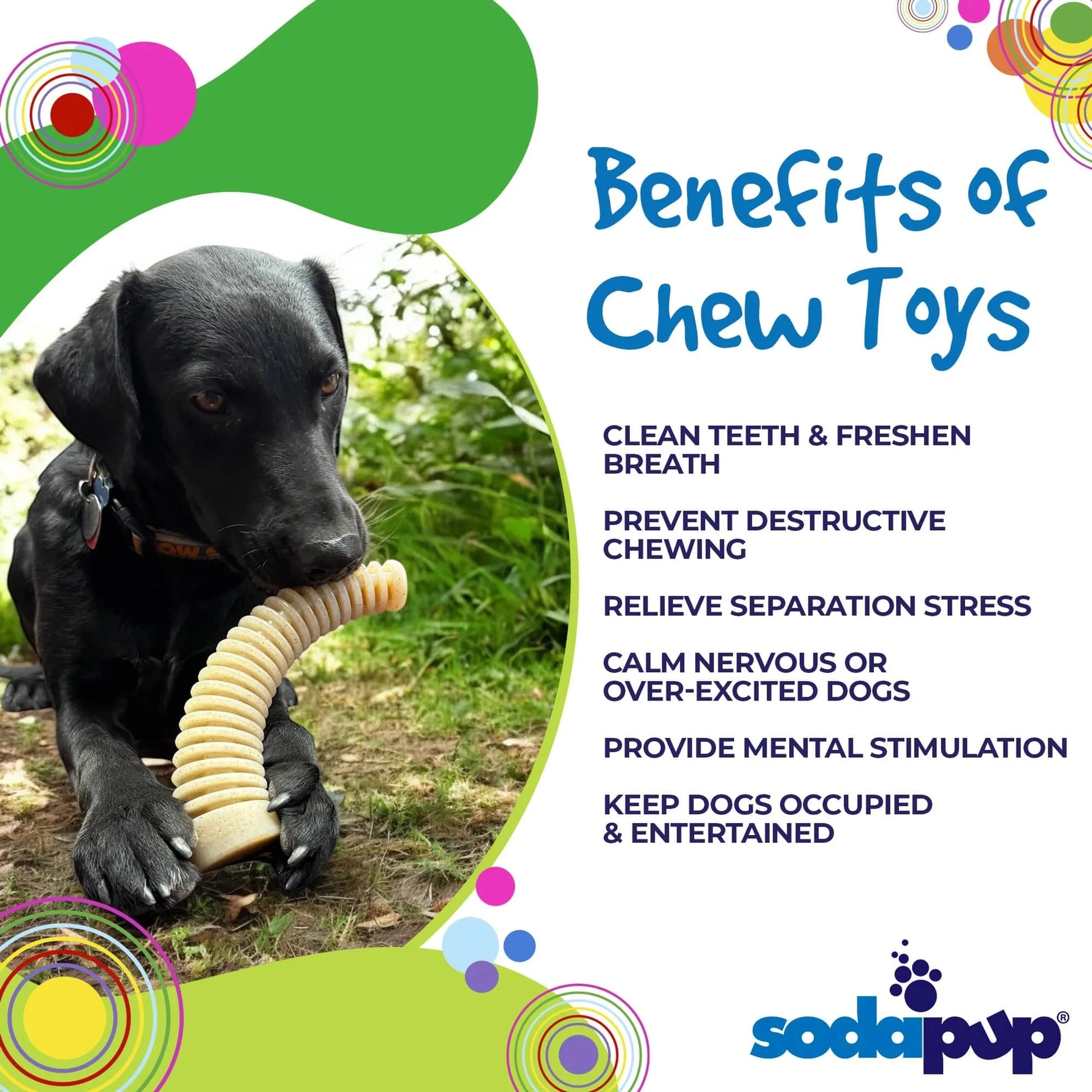 Black dog chewing durable nylon antler toy for dental health and stress relief