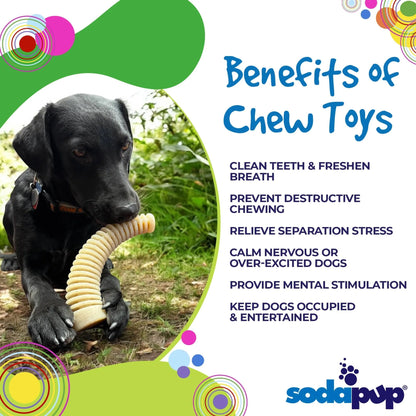 Black dog chewing durable nylon antler toy for dental health and stress relief