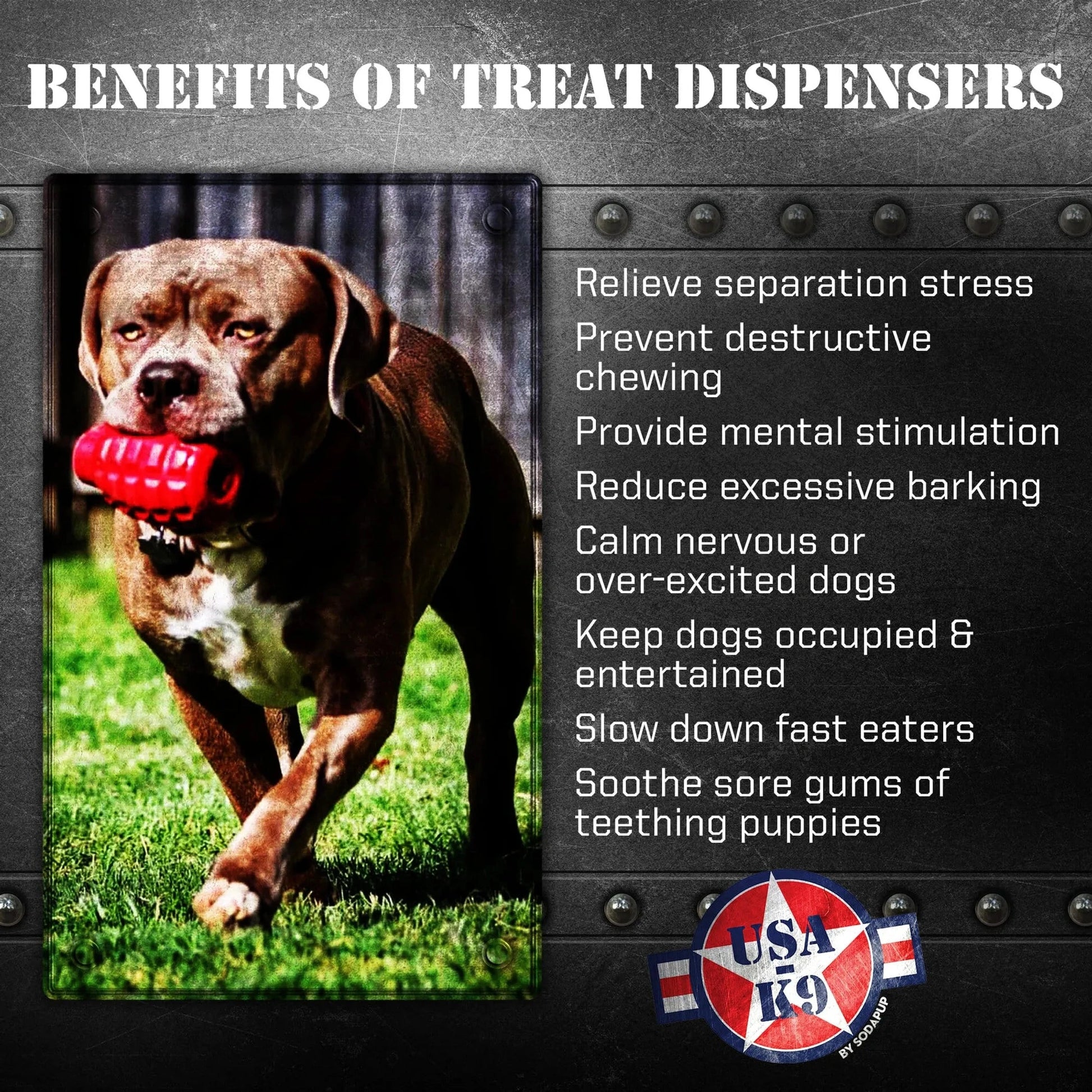 Muscular dog running with red Grenade treat dispenser on grass
