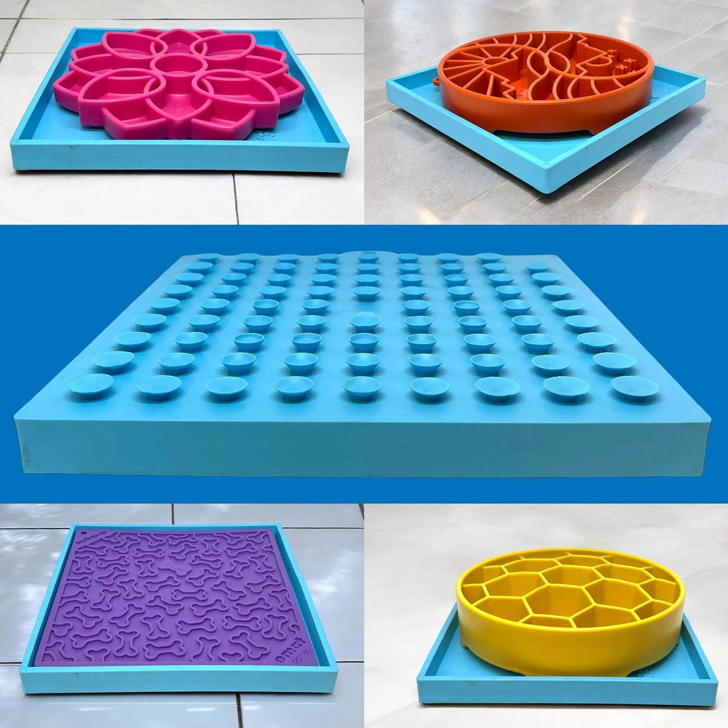 Blue universal suction cup base holding five colorful interchangeable lick mat inserts
