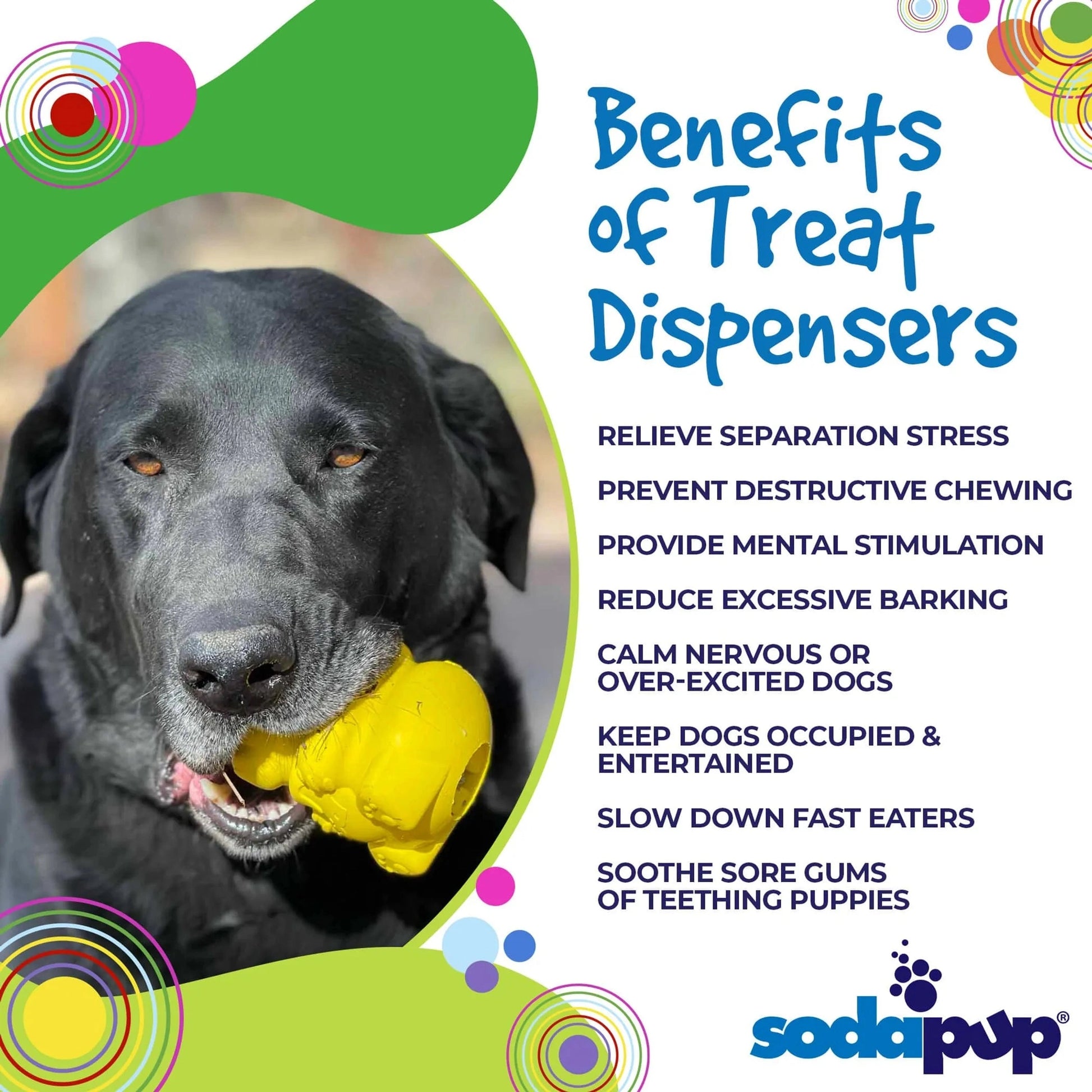 Black dog chewing yellow honey bear treat dispenser outdoors