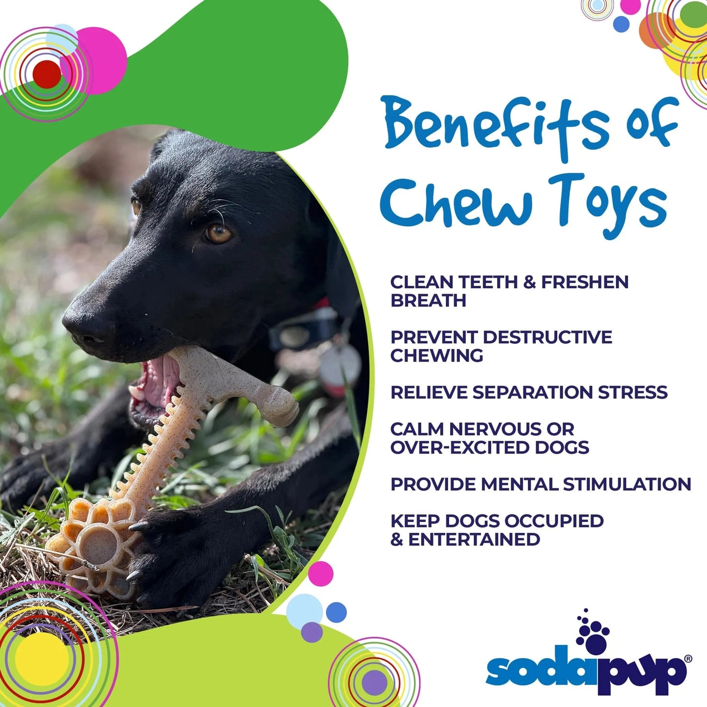 Benefits of SodaPup dental chew toy for cleaning teeth preventing destructive chewing and relieving stress