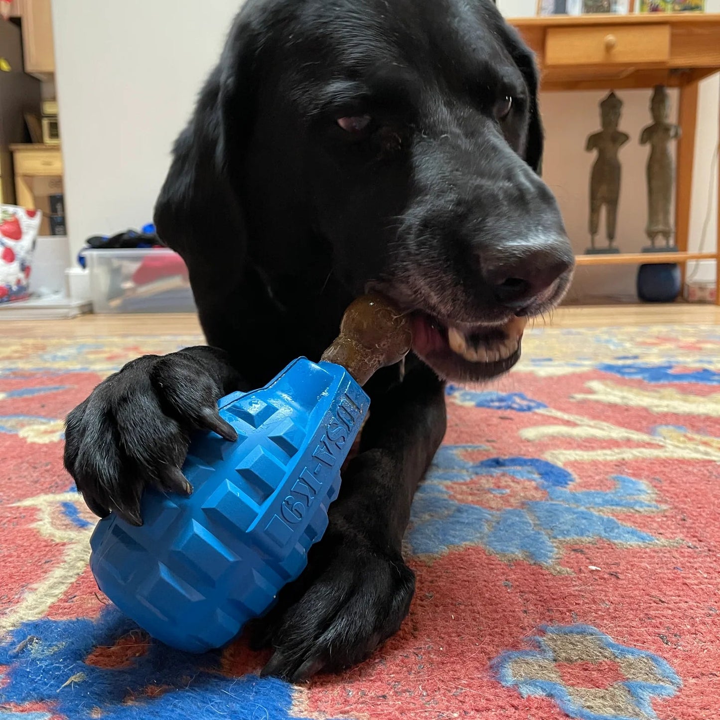 Black dog playing with a blue toy on a patterned rug