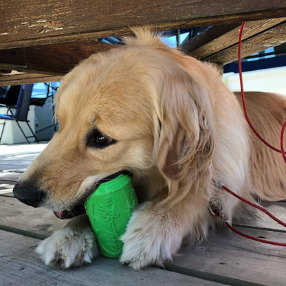 Dog holding a green toy under a wooden structure