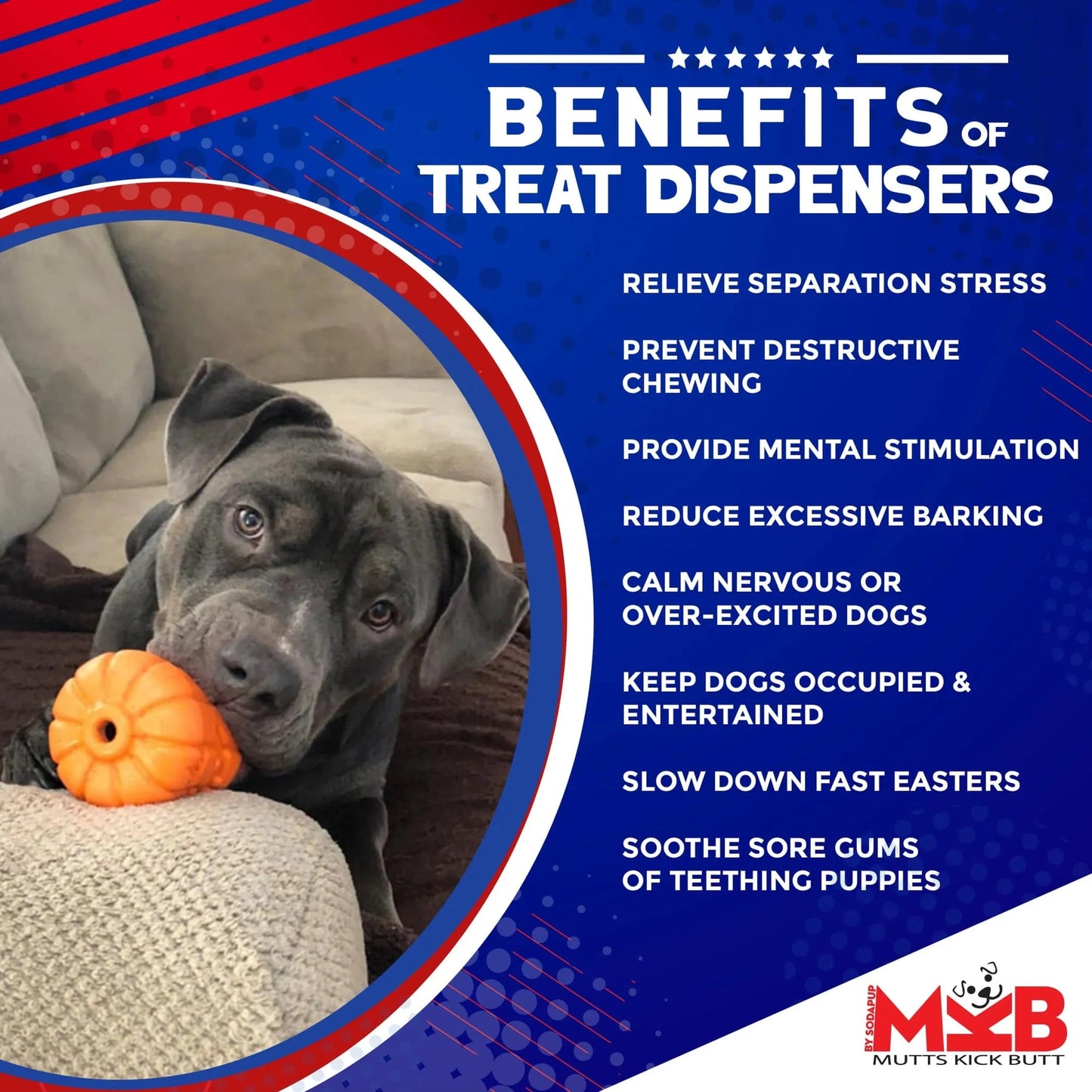 Jack O' Lantern Chew & Treat Dispenser