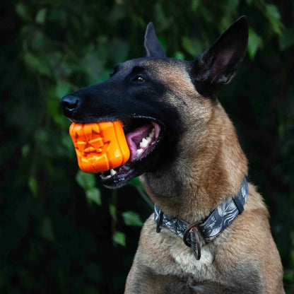 Jack O' Lantern Chew & Treat Dispenser