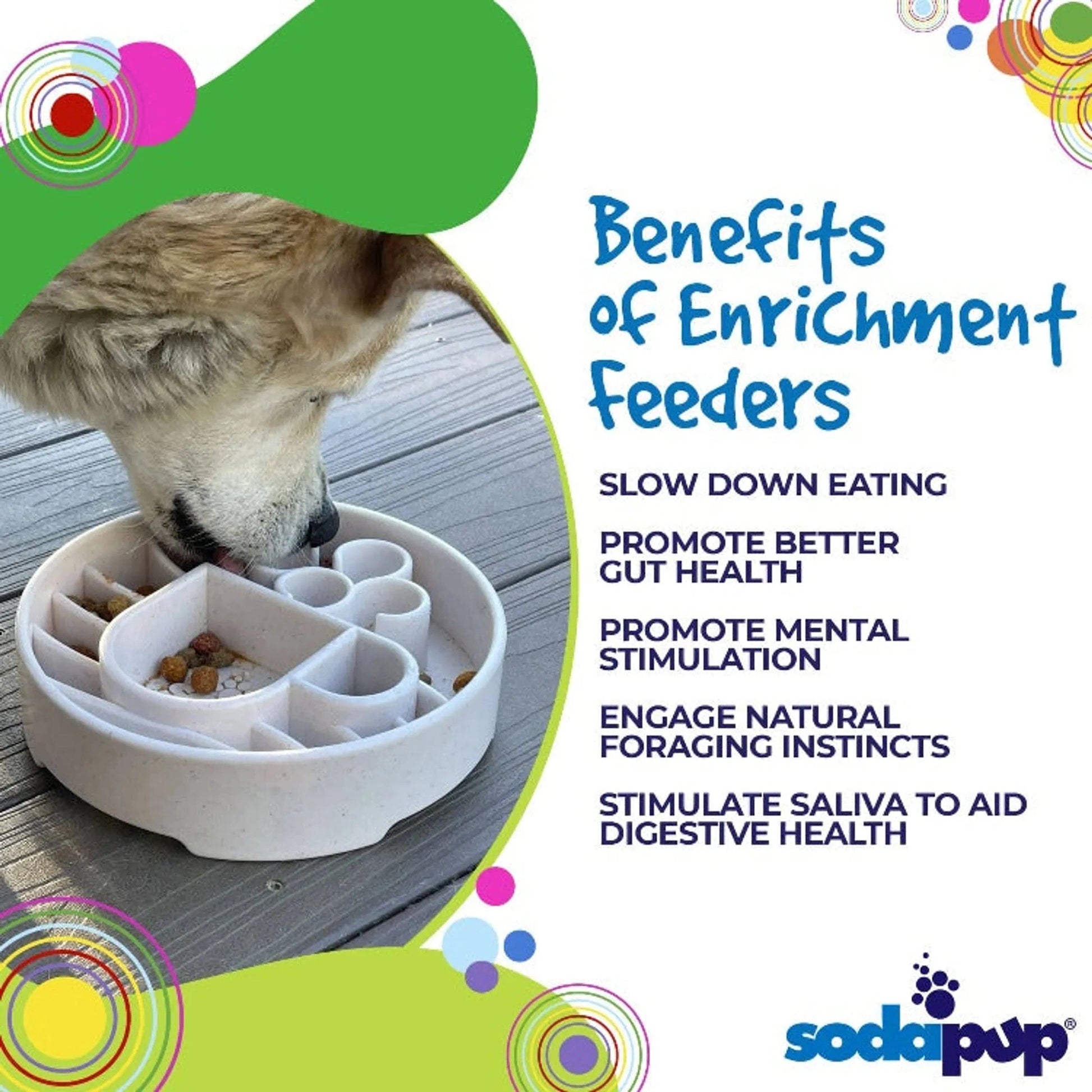 Benefits of slow feeder bowls for gut health and mental stimulation