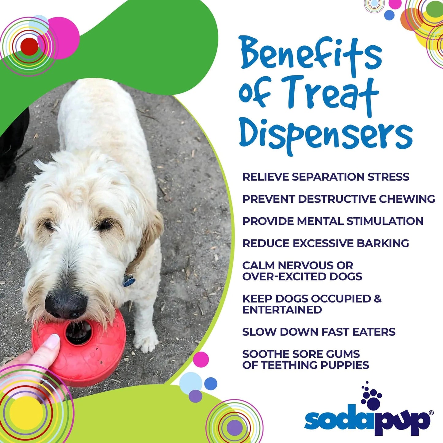 White fluffy dog chewing red SodaPup Life Ring treat dispenser outdoors for mental stimulation