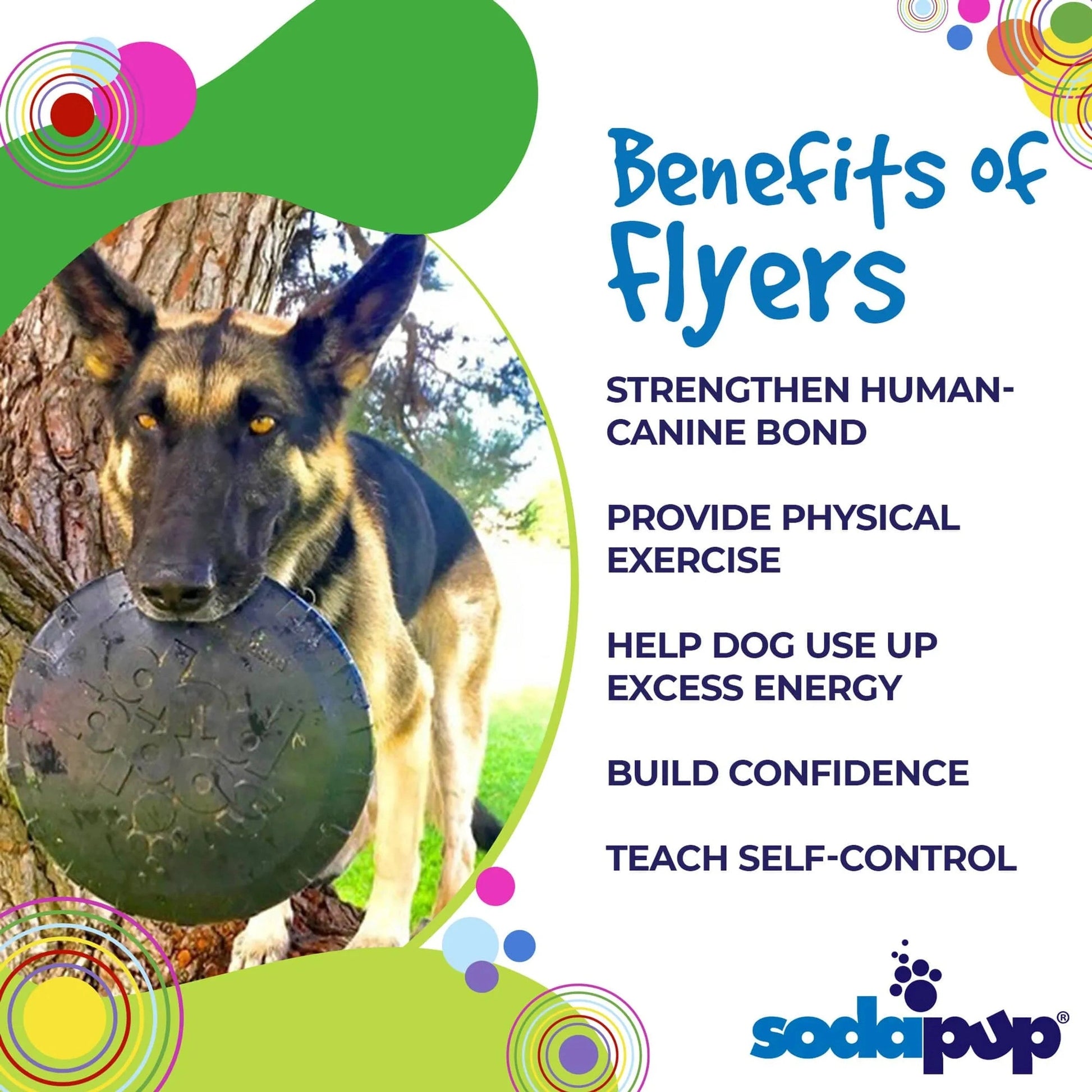 German Shepherd fetching black frisbee outdoors to strengthen human-canine bond