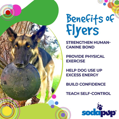 German Shepherd fetching black frisbee outdoors to strengthen human-canine bond