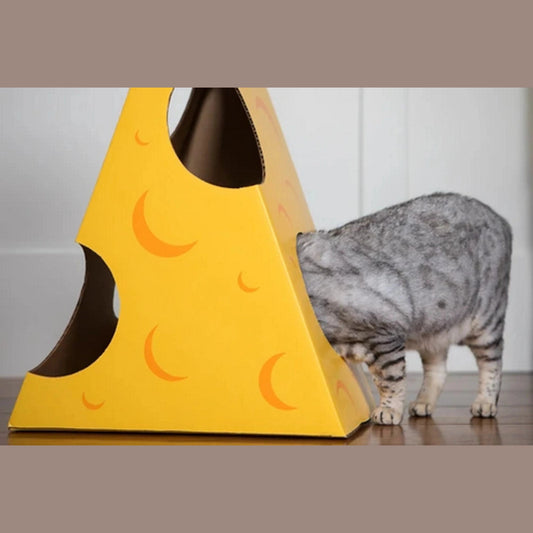 Yellow cardboard cat cheese wedge hideaway tunnel with orange holes for gray tabby