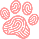 background shape